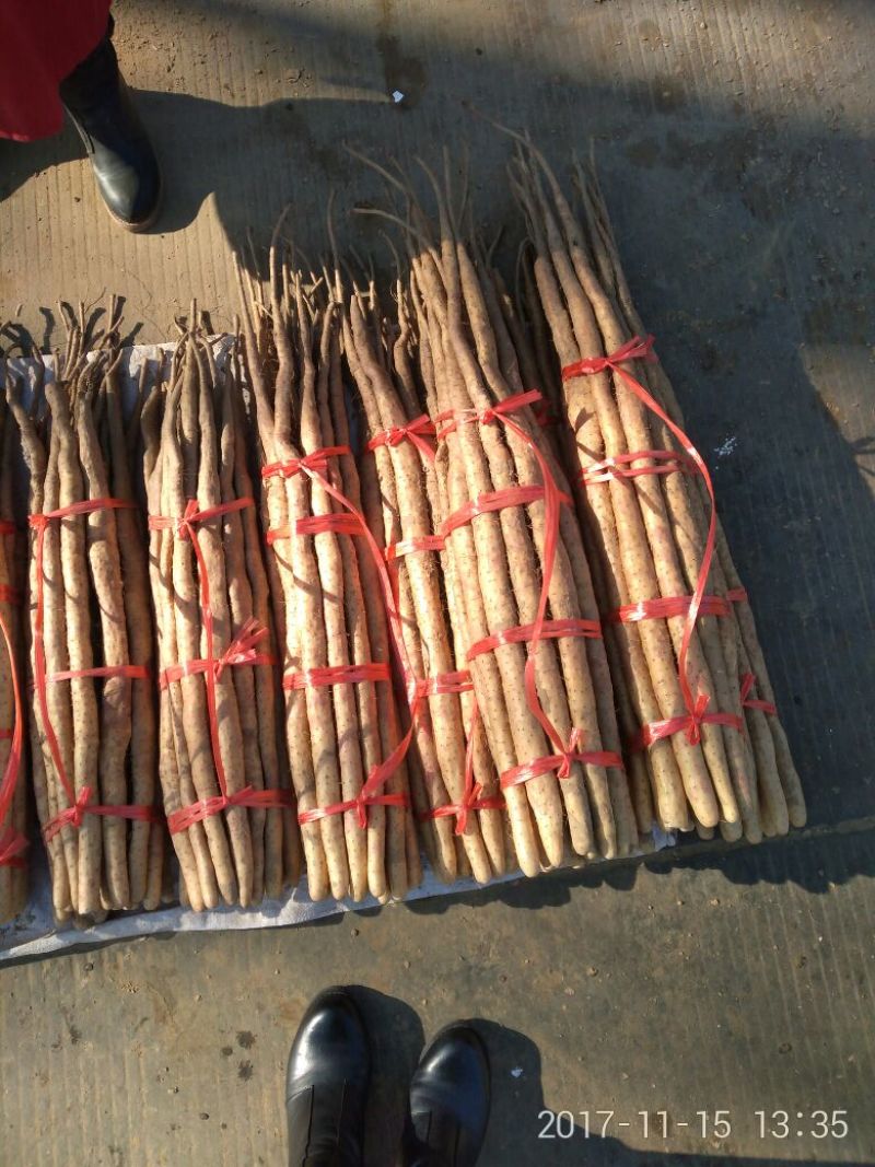 小白嘴白山药8厘米以上特级手捡70~90厘米