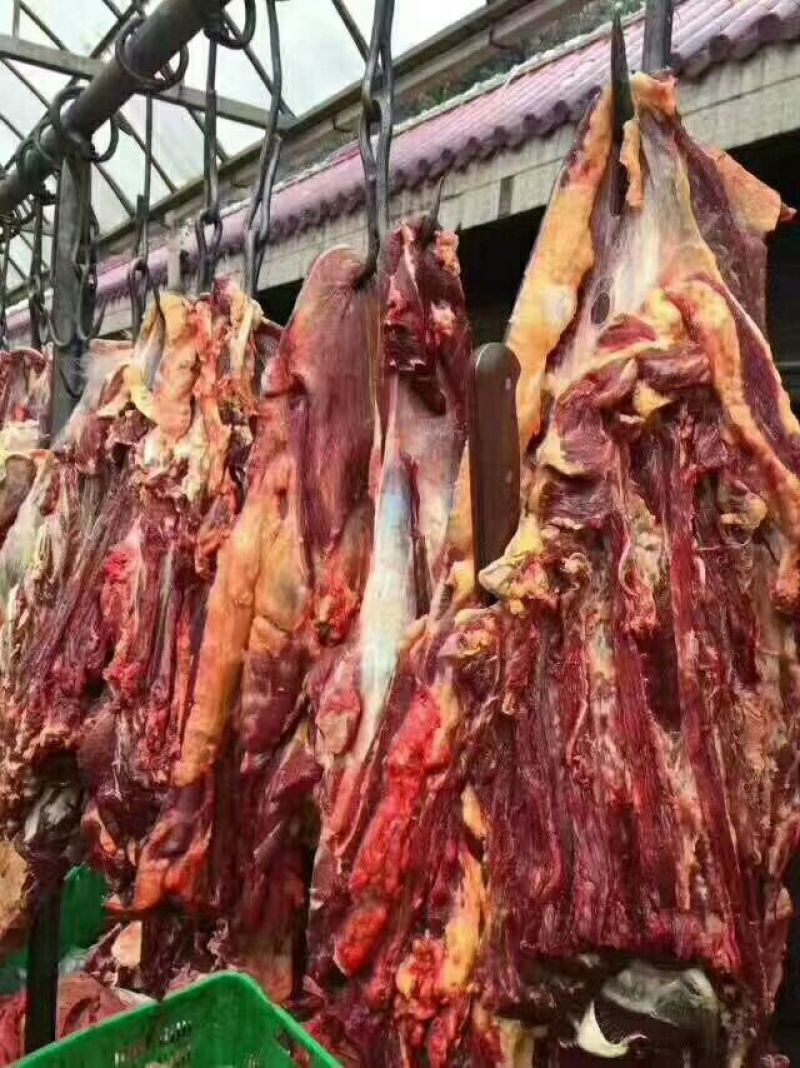 牛肉干牦牛肉鲜肉