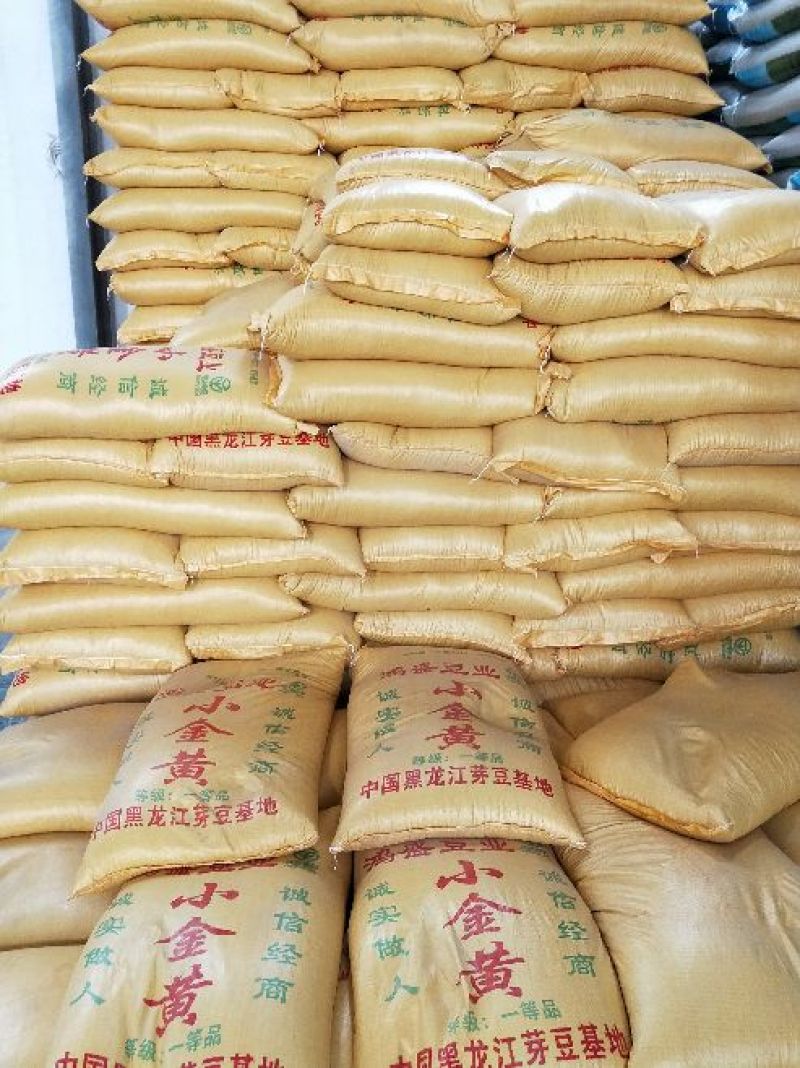 【精品】黄豆优质，发芽专用，现货供应。