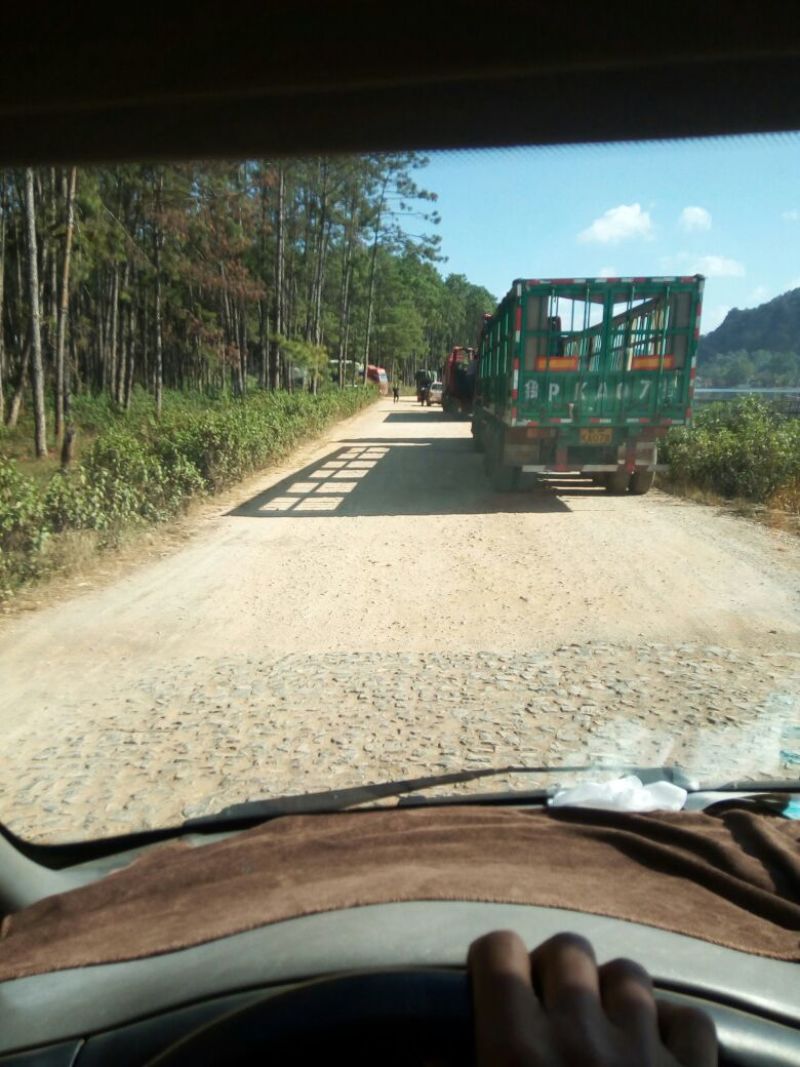 小黄姜3两以上带土