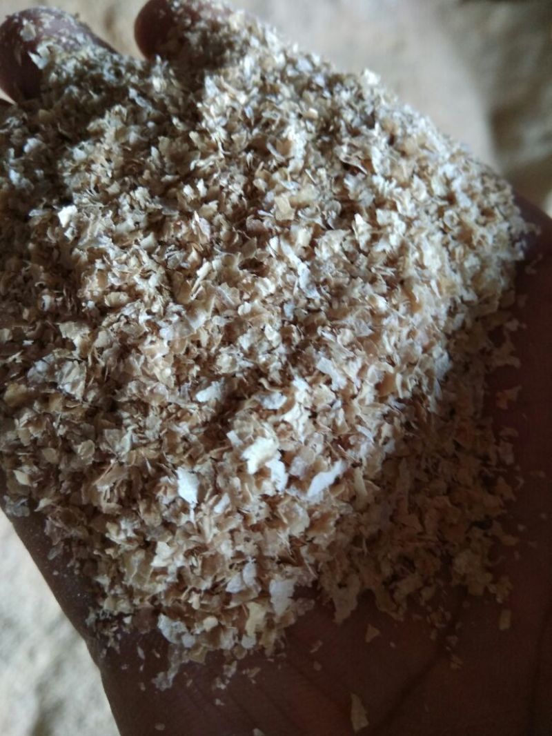 麸皮饲料