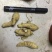 西洋参选货