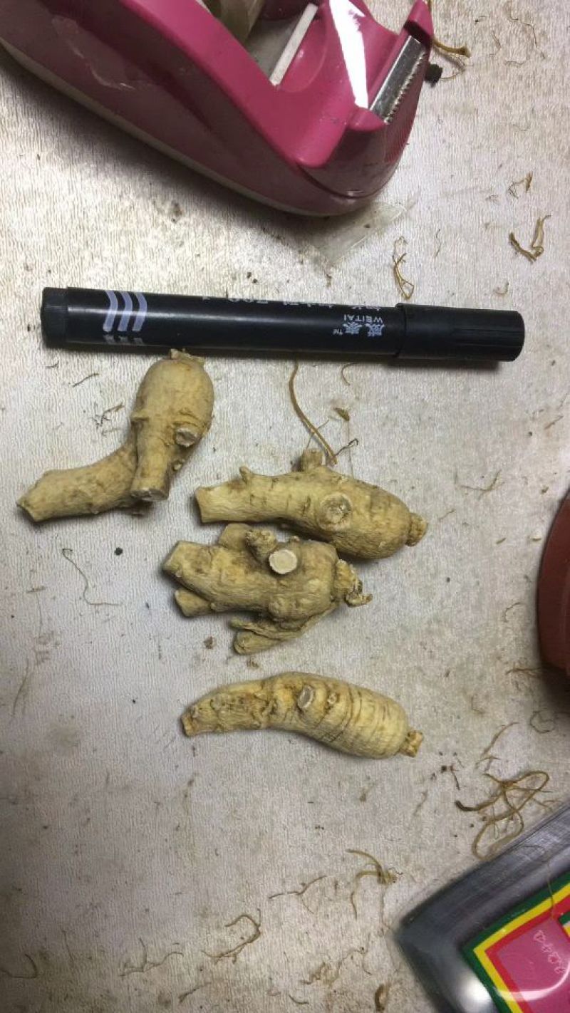 西洋参选货