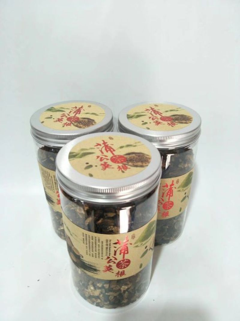 蒲公英根