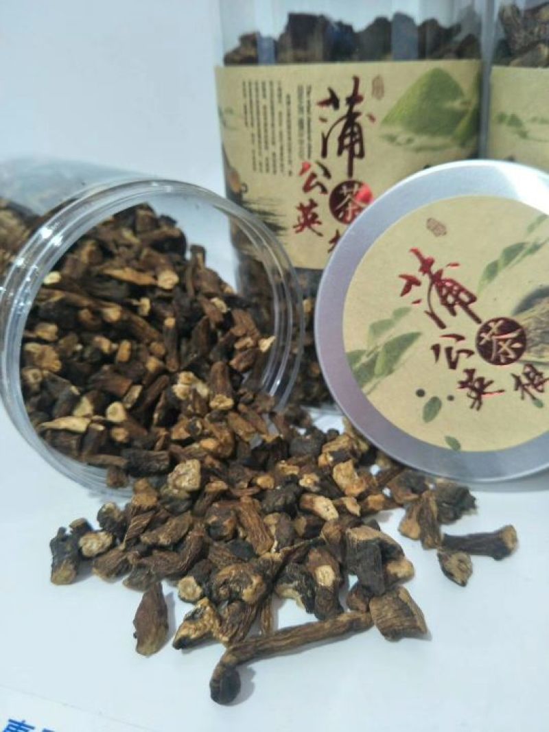 蒲公英根