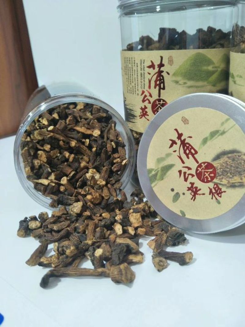 蒲公英根