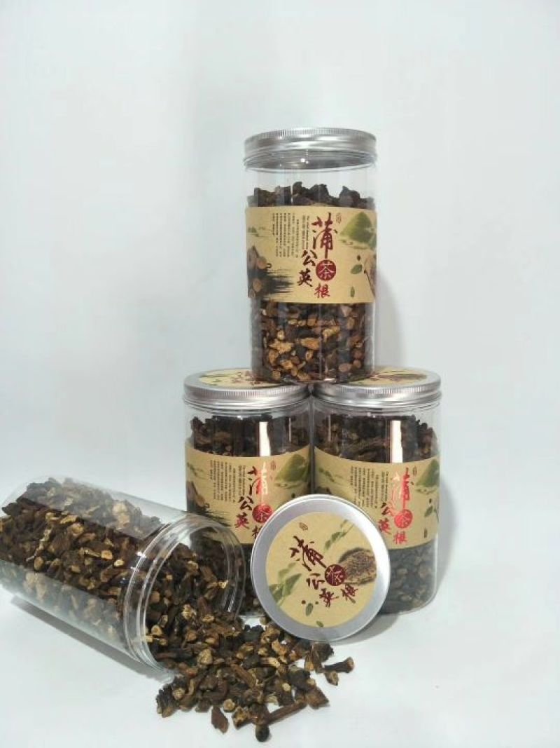 蒲公英根