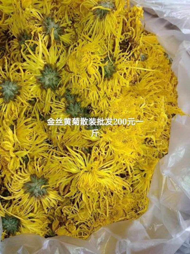 金丝皇菊茶特级