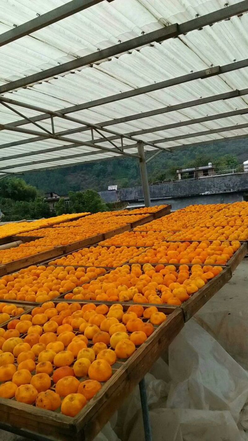 柿饼1~2两