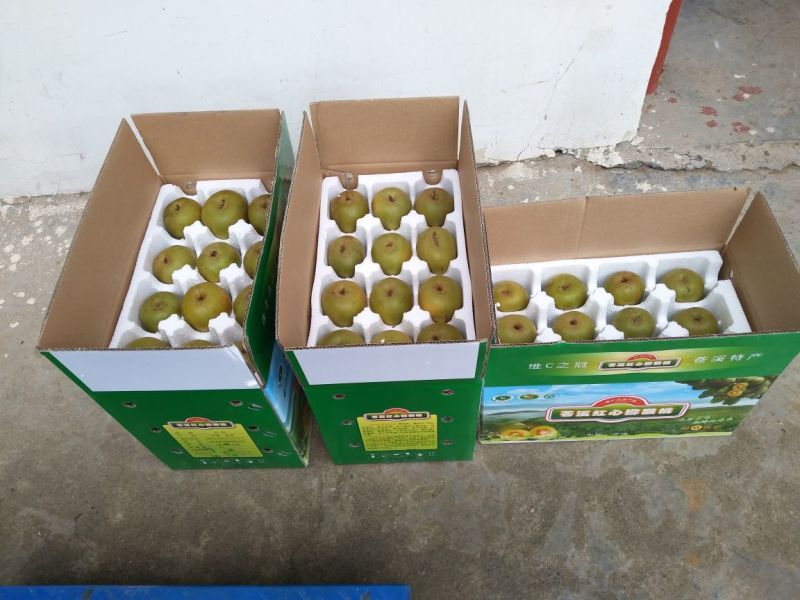 苍溪发源地红心猕猴桃2.5斤试吃装现采现发品质保证