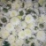 胎菊王散装
