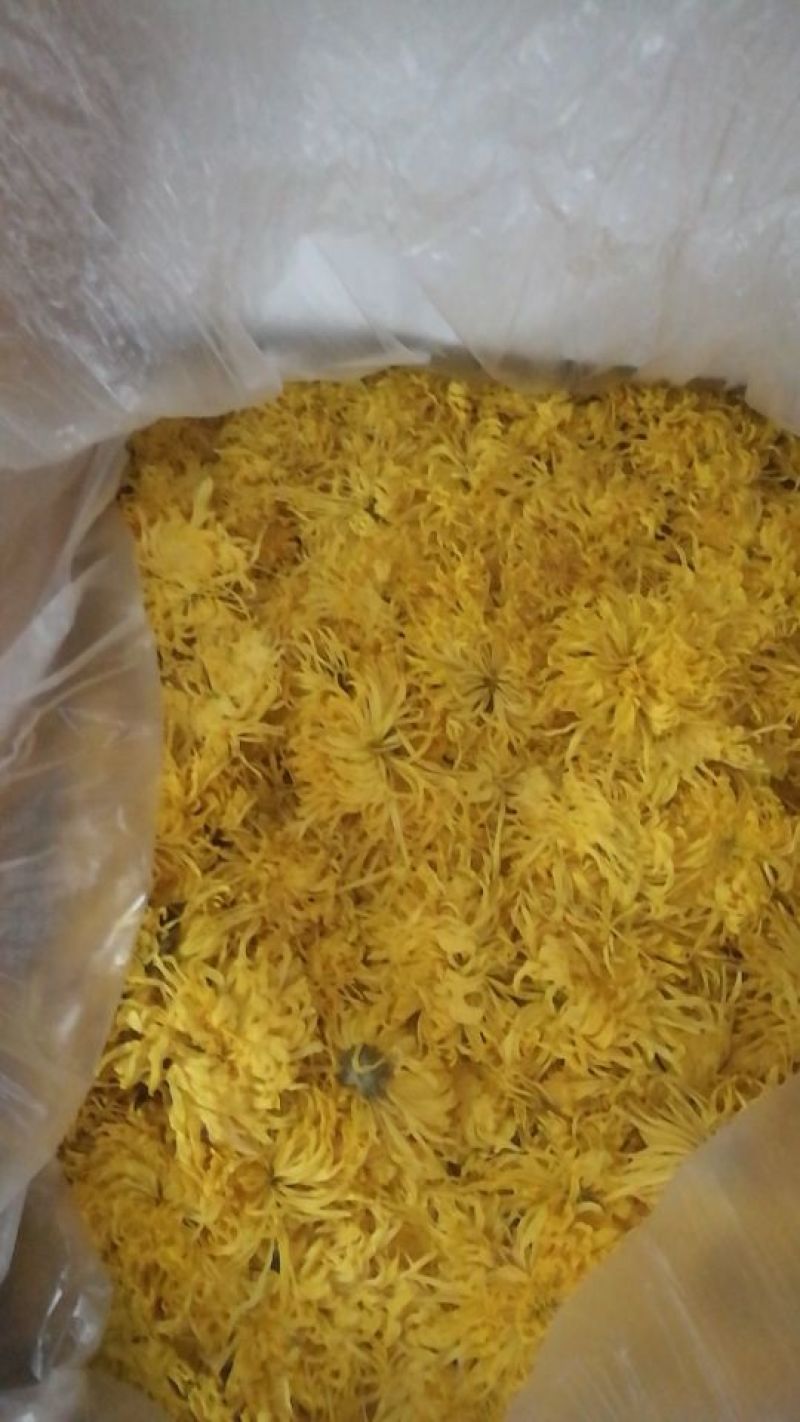 菊花茶一级