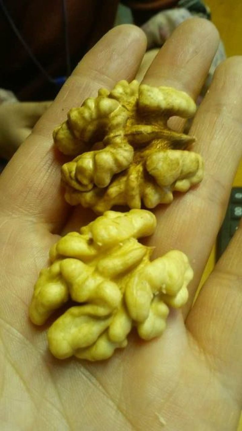 纸皮核桃去皮25~30mm干