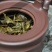 普洱茶特级