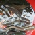 胡子鲶食用