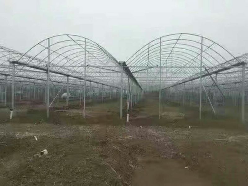 蔬菜大棚椭圆钢管大棚