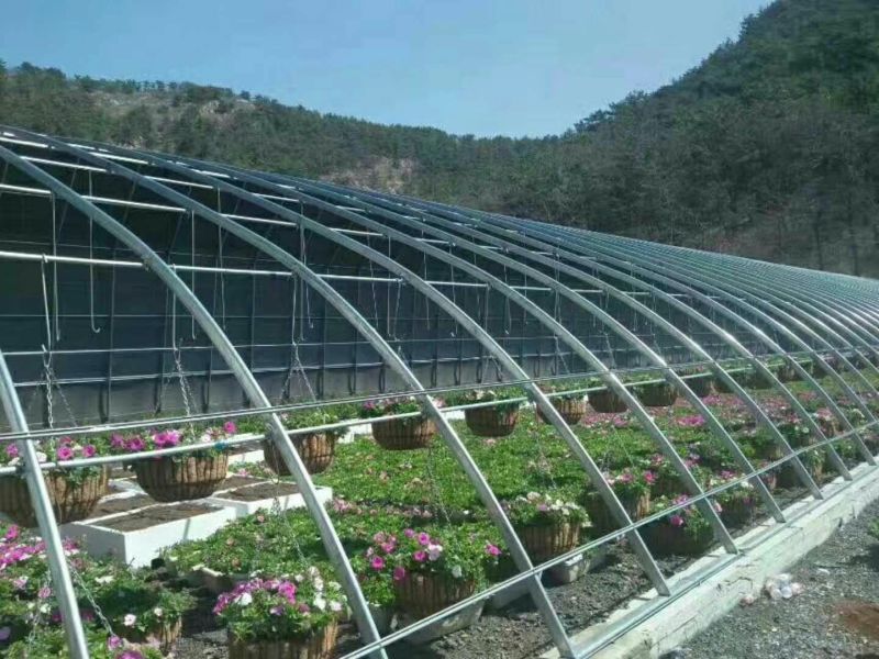 花卉大棚几字钢型大棚