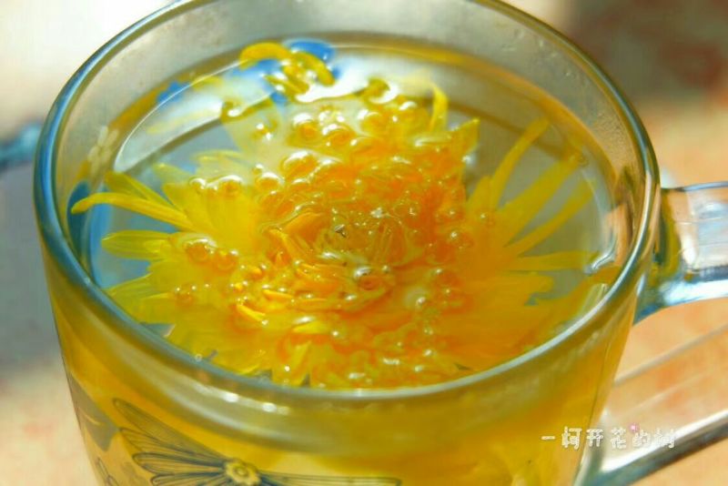 金丝皇菊茶一级