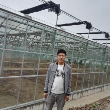 温室大棚镀锌管大棚
