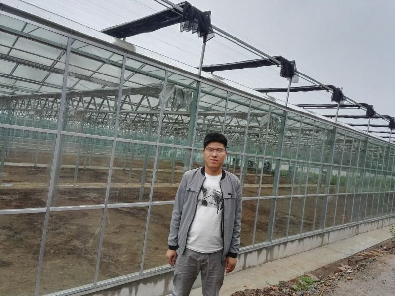 温室大棚镀锌管大棚