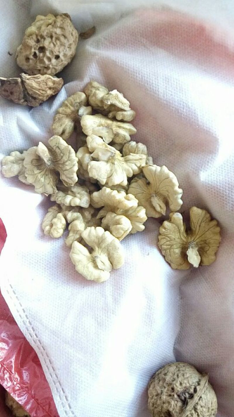 泡核桃30mm以上去皮干