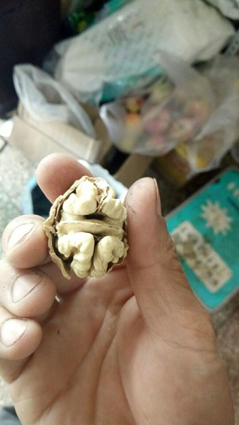 泡核桃30mm以上去皮干