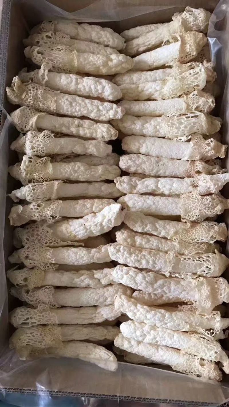 竹荪一级