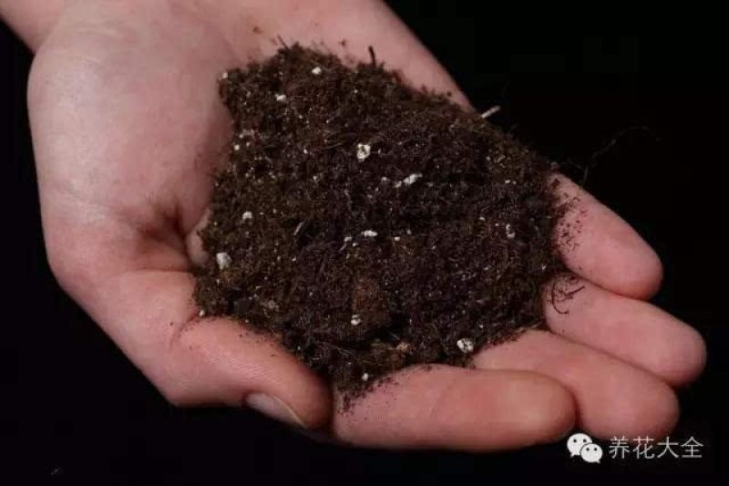 中伟生物禽畜粪便60%(3-3-1)20kg*50袋