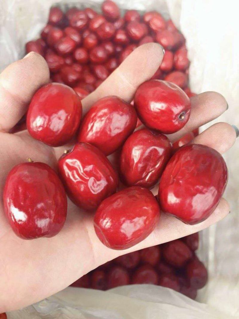 板枣三级干枣