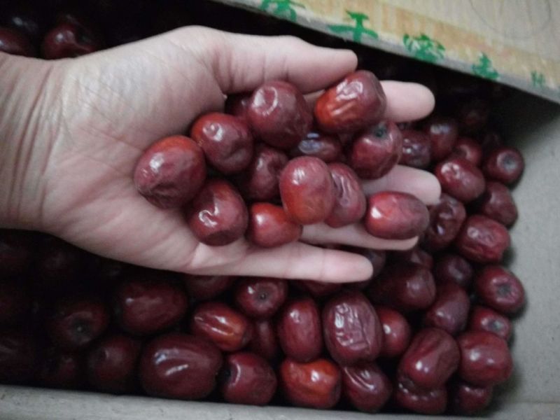 板枣三级干枣