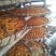 柿饼1~2两