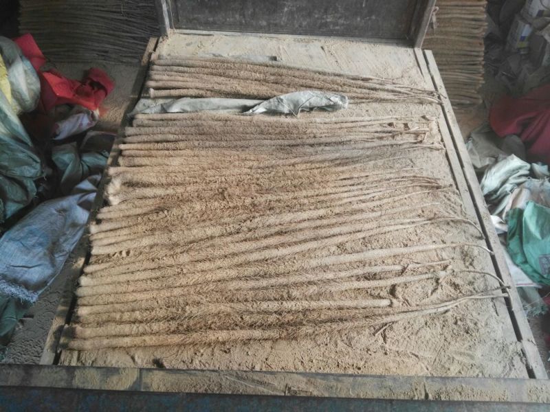 铁棍山药2~3厘米特级通货70~90厘米