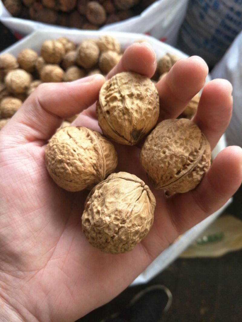 薄皮核桃去皮30mm以上干