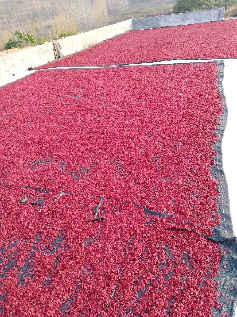 山芋肉