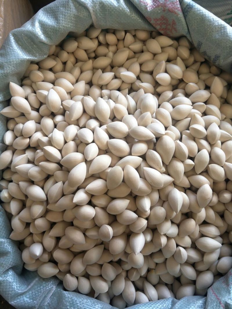 白果