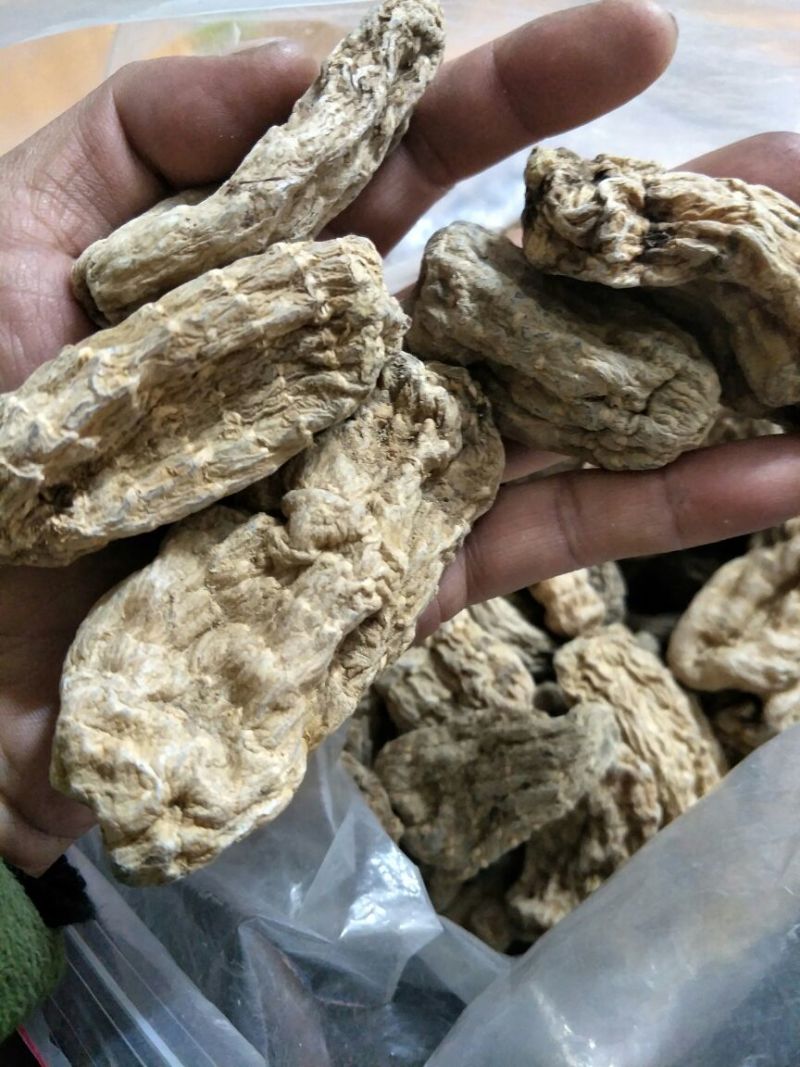 野生天麻一级