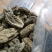 野生天麻一级