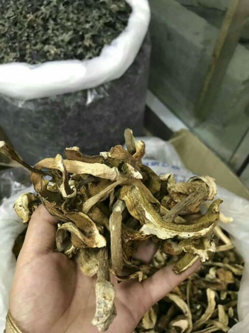 牛肝菌一级羊肚菌