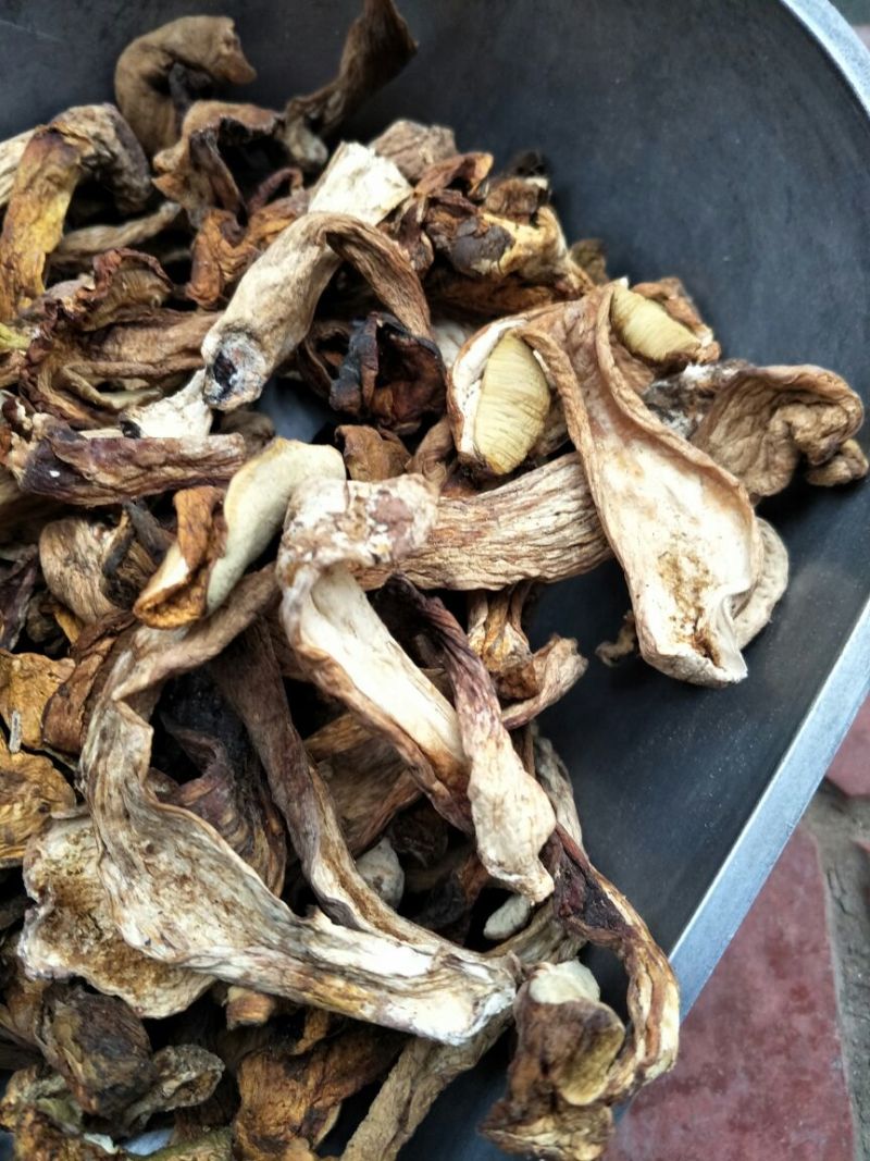 牛肝菌一级羊肚菌