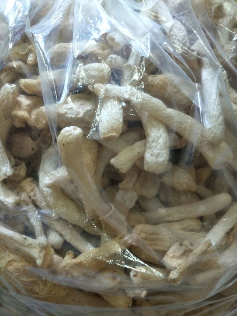 竹荪二级