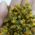 野菊花散装