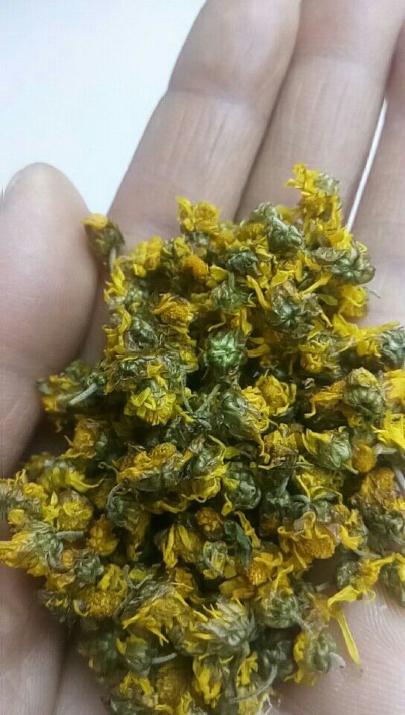 野菊花散装
