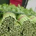 【精品批发】安徽芹菜大，中，小棵，高度60左右，当天发货