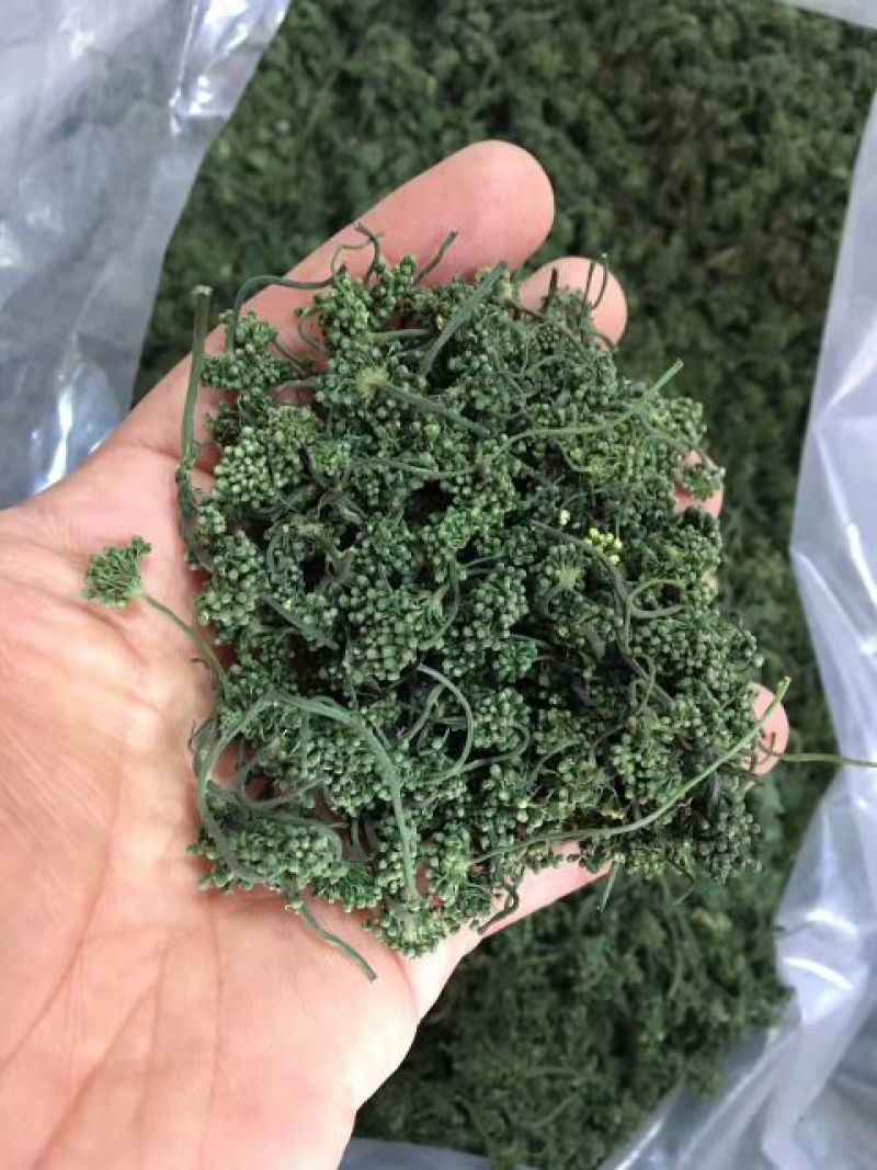 人参花