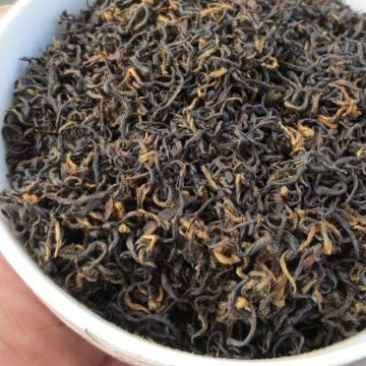 祁门红茶特级