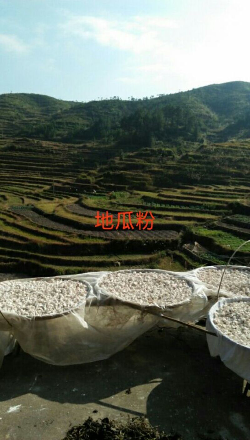 红薯淀粉袋装