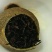 云南普洱茶：用云南普洱茶老树熟茶加小青柑
