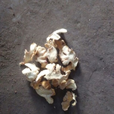 小黄姜干片
