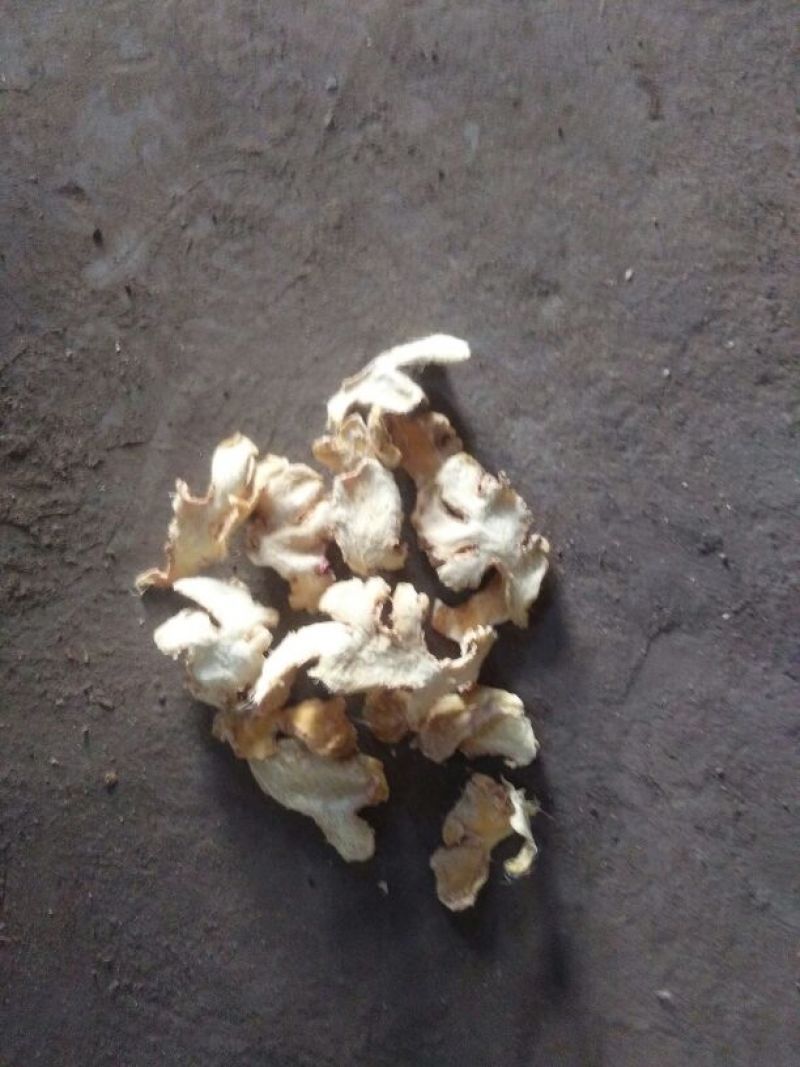 小黄姜干片