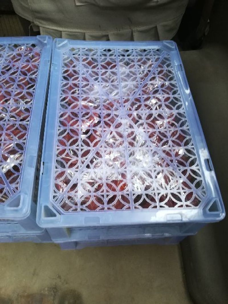 柿饼1~2两